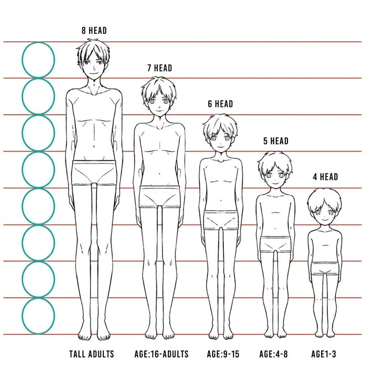 Mascot drawing shape guides