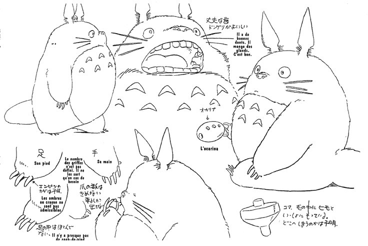 Totoro sketch drawing stages