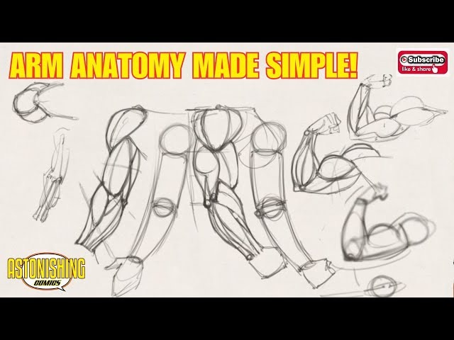 anatomical joint landmarks