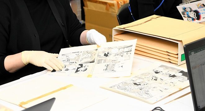 manga export inspection